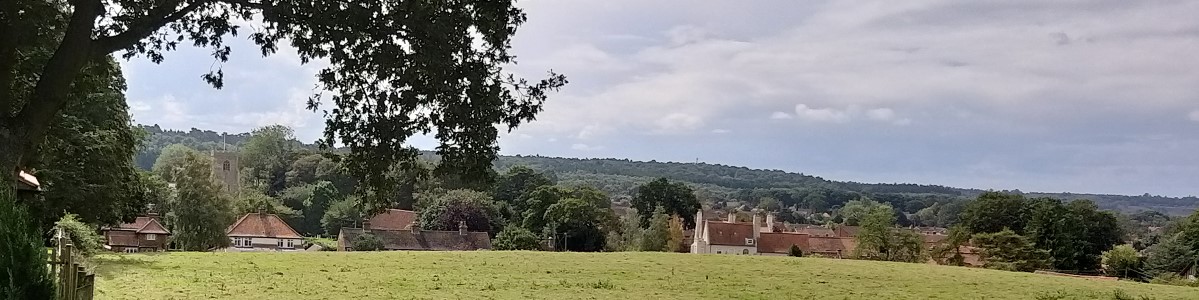 header image of local view