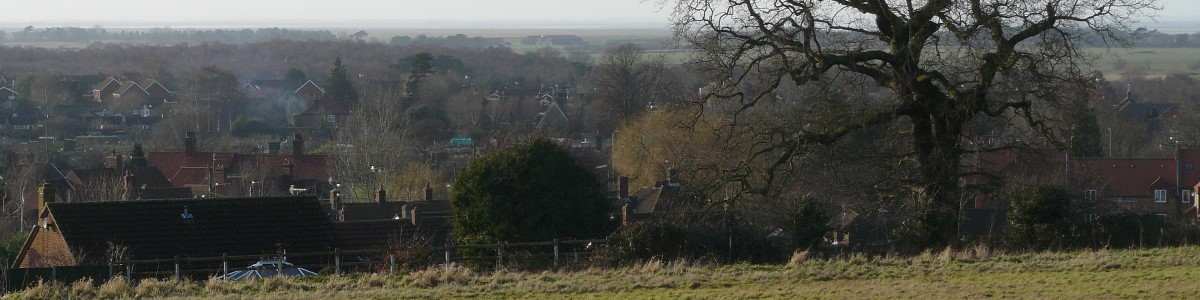 header image of local view